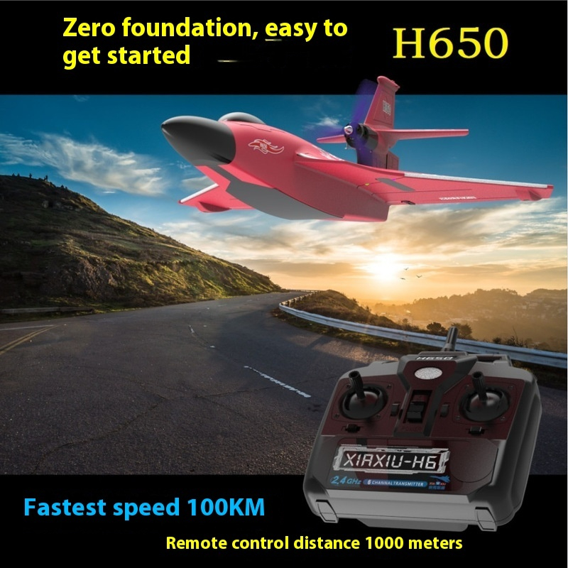 H650 대형 RC 비행기 방수 및 내충격성 육상 및  - Rc Glider Foam Wing 리뷰 및 가격